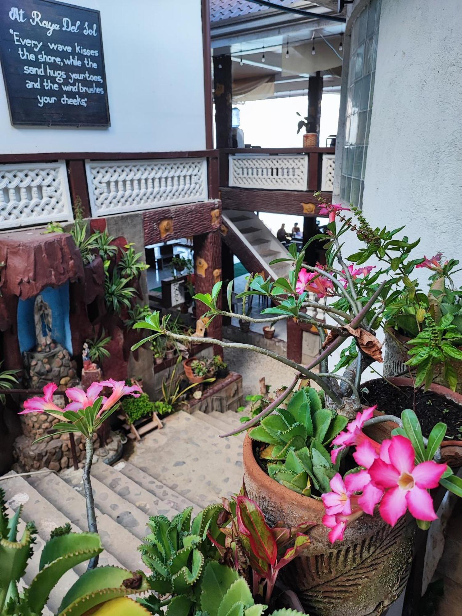 מאביני Raya Del Sol Dive Resort מראה חיצוני תמונה
